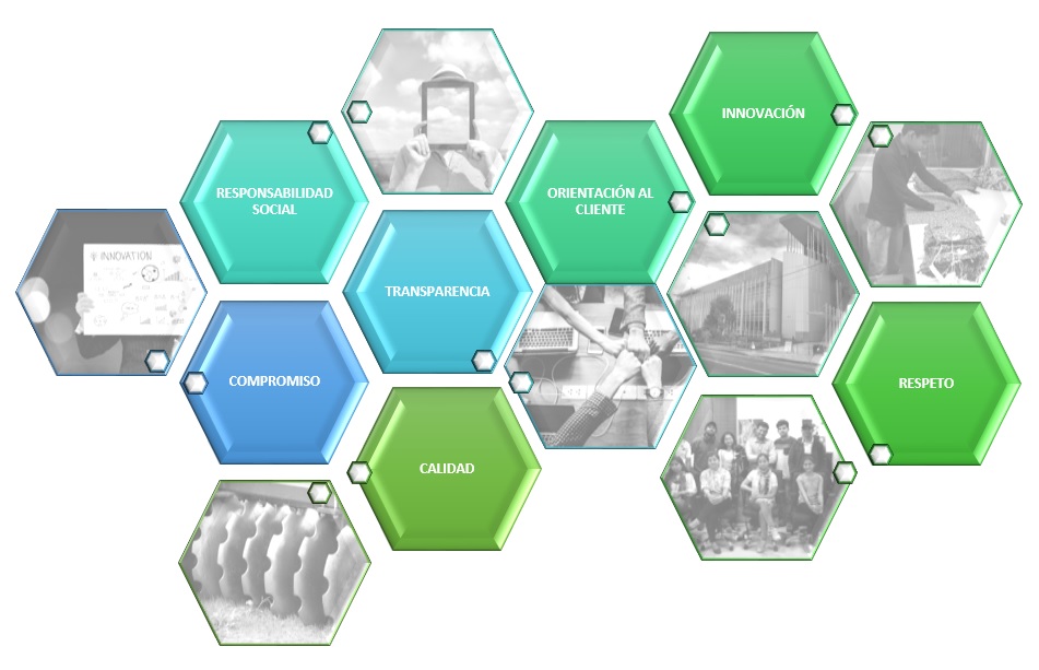 Valores Y Actitudes De Los Colaboradores